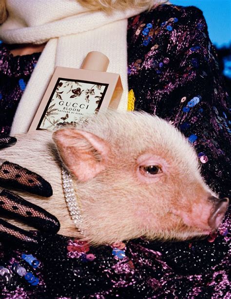 The Year of the Pig: GUCCI’s Chinese New Year Capsule 